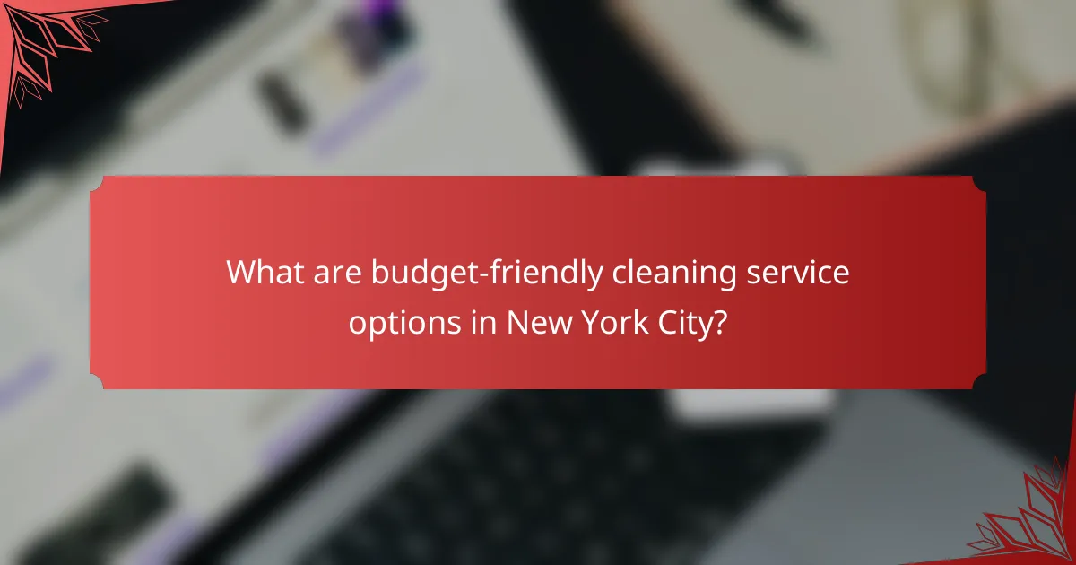 What are budget-friendly cleaning service options in New York City?