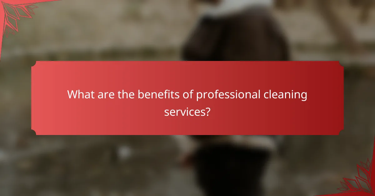 What are the benefits of professional cleaning services?