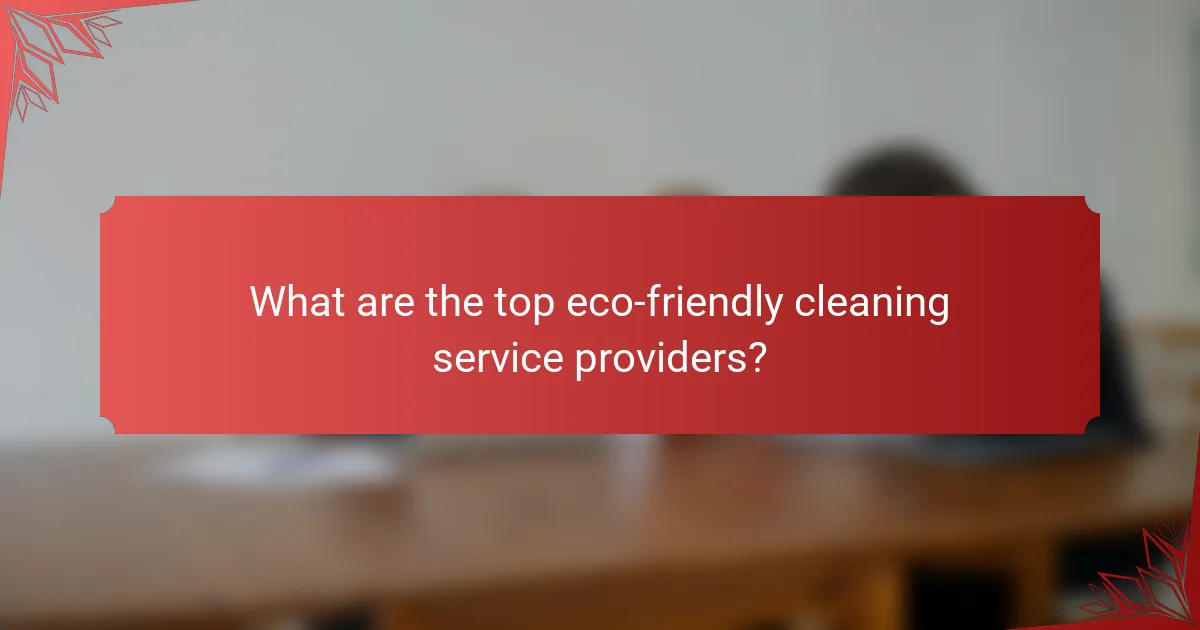 What are the top eco-friendly cleaning service providers?