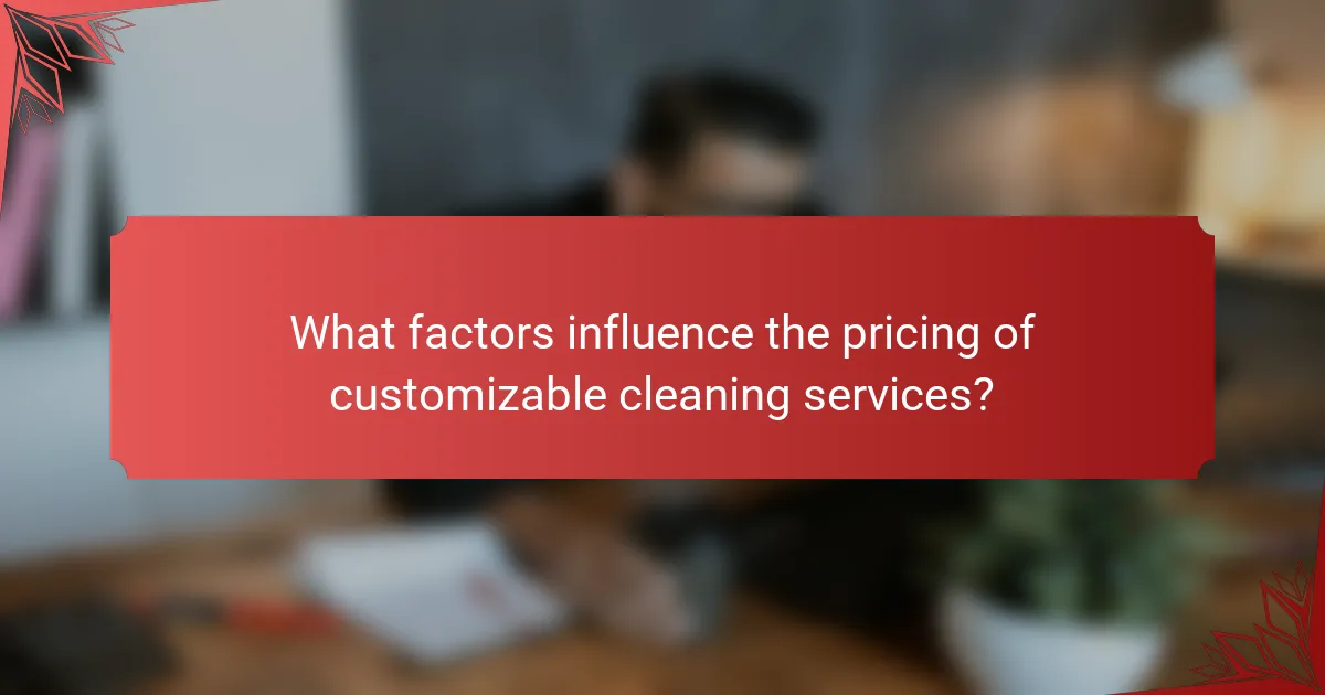 What factors influence the pricing of customizable cleaning services?
