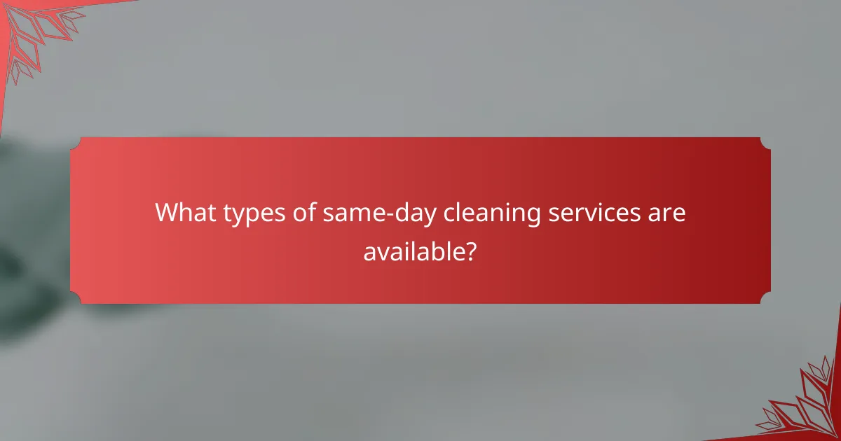 What types of same-day cleaning services are available?